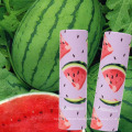 Tubo de batom batom nutritivo com sabor de frutas